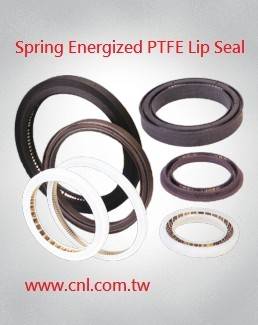 Spring Energized PTFE Lip Seal
