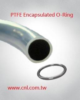 FEP Encapsulated FKM O-ring
