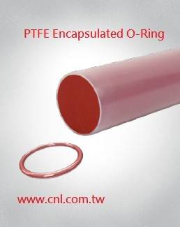 FEP Encapsulated Silicone O-ring