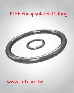PFA Encapsulated FKM O-ring