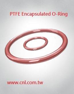 PFA Encapsulated Silicone O-ring