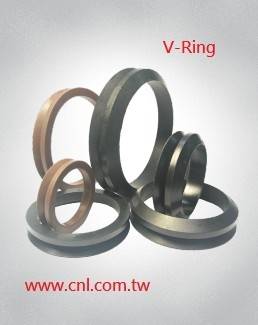 V-Ring / Mechanical Seal